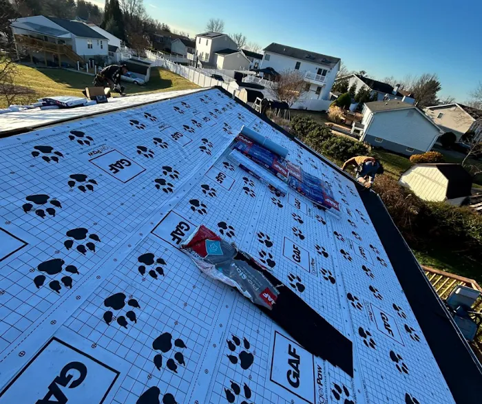 Excel Roofing Picture 9