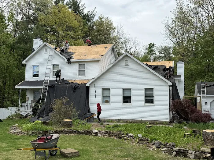 Rooftop Titans Picture 5