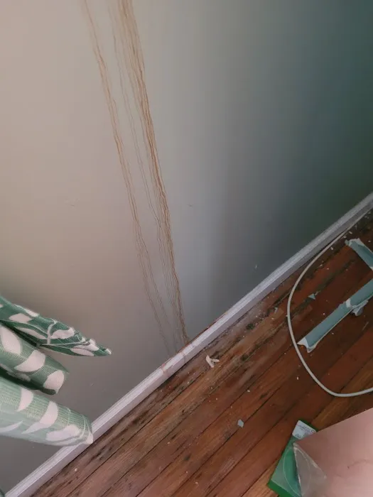 1st Choice Roofing Picture 2