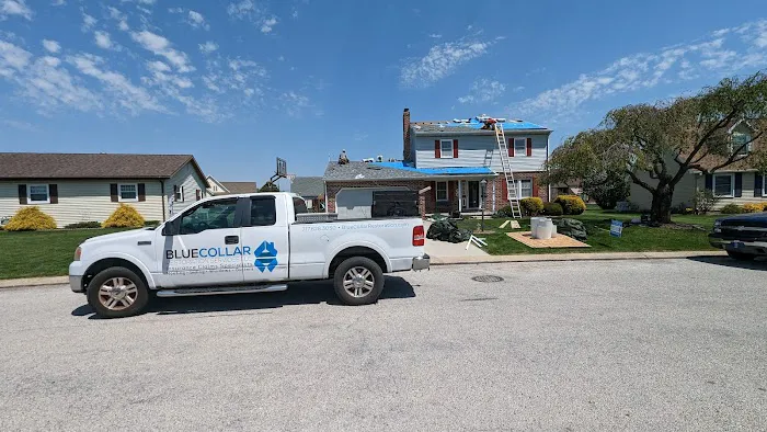 Blue Collar Services LLC Picture 8