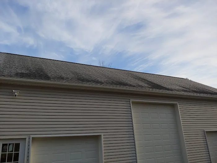 Bel Air Foam & Roofing Picture 1