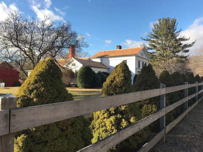 What's On My Roof? Picture 8