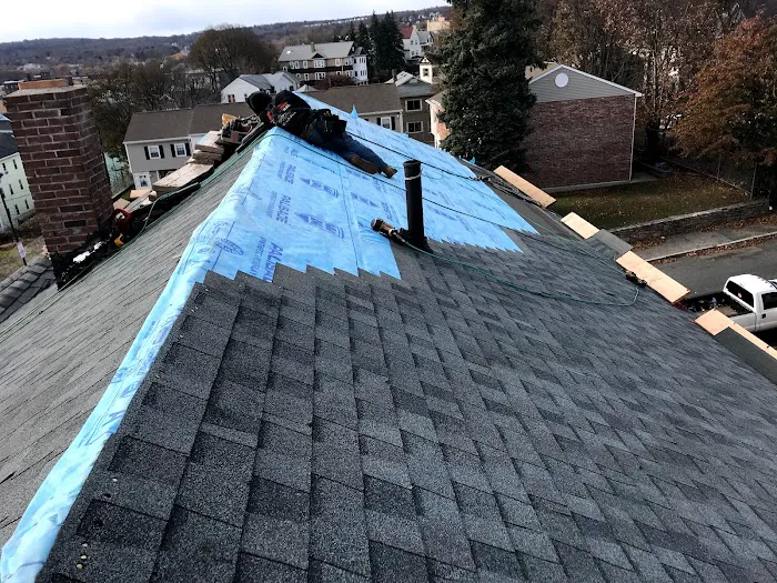 Structural Roofing Picture 6