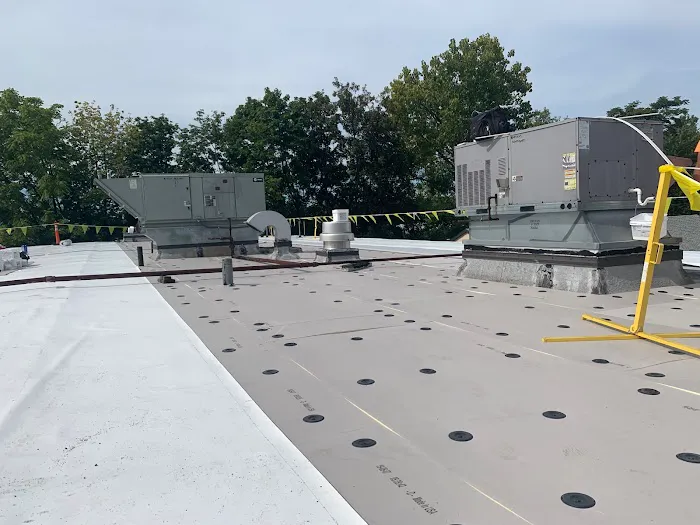 Vanguard Roofing Picture 8