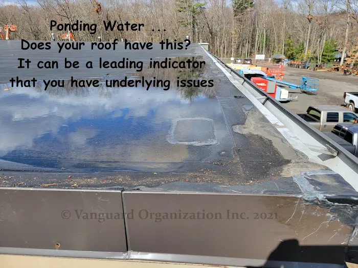 Vanguard Roofing Picture 7