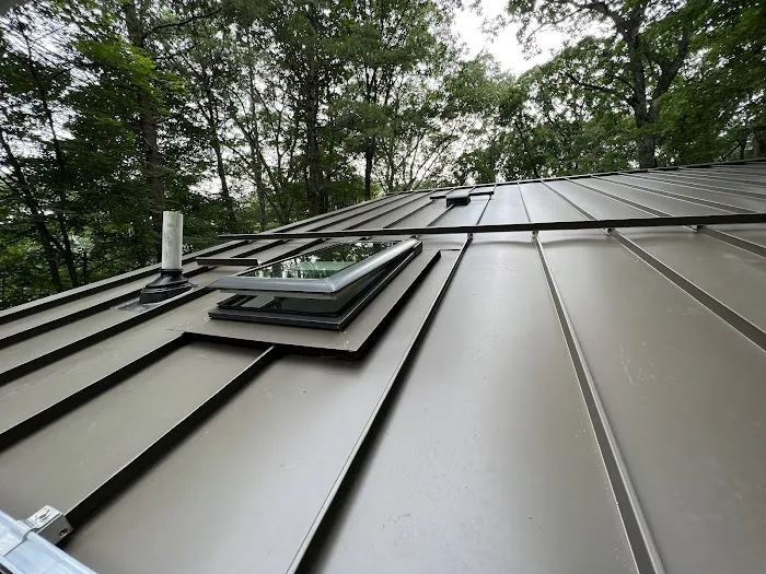 US Metal Roofing Picture 4