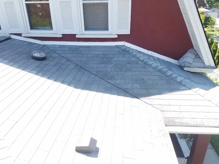 Superior Roof Cleaning Picture 2