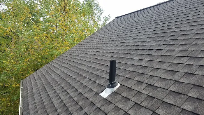 Superior Roof Cleaning Picture 7
