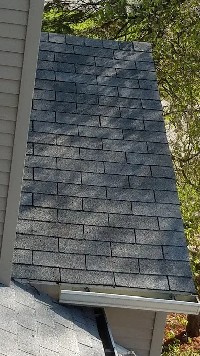 Superior Roof Cleaning Picture 4
