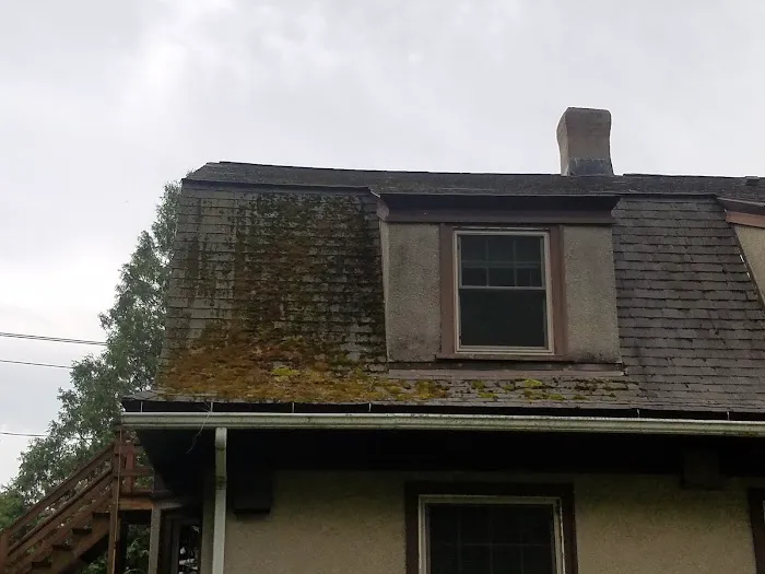 Superior Roof Cleaning Picture 1