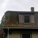 Superior Roof Cleaning