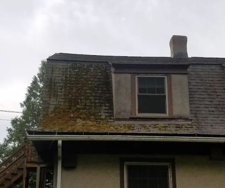 Superior Roof Cleaning