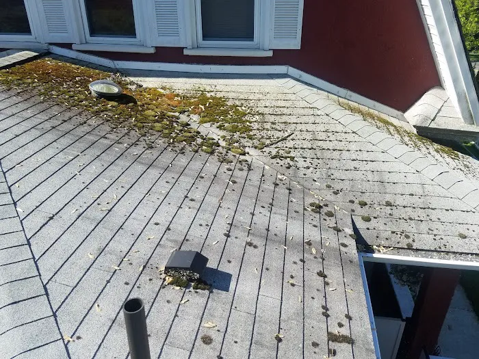 Superior Roof Cleaning Picture 6