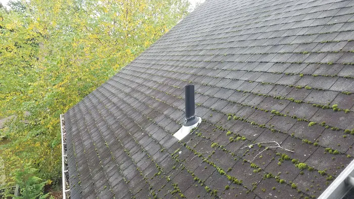Superior Roof Cleaning Picture 8