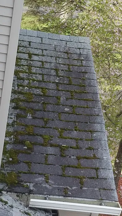 Superior Roof Cleaning Picture 9