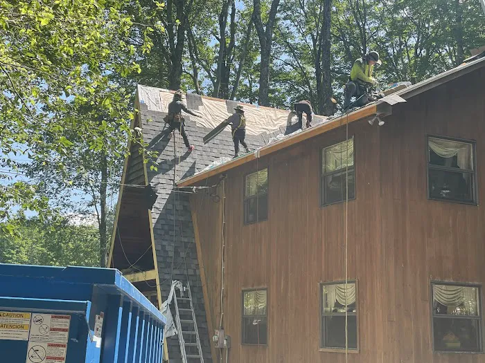 Klaus Roofing Systems by J Smegal Picture 4