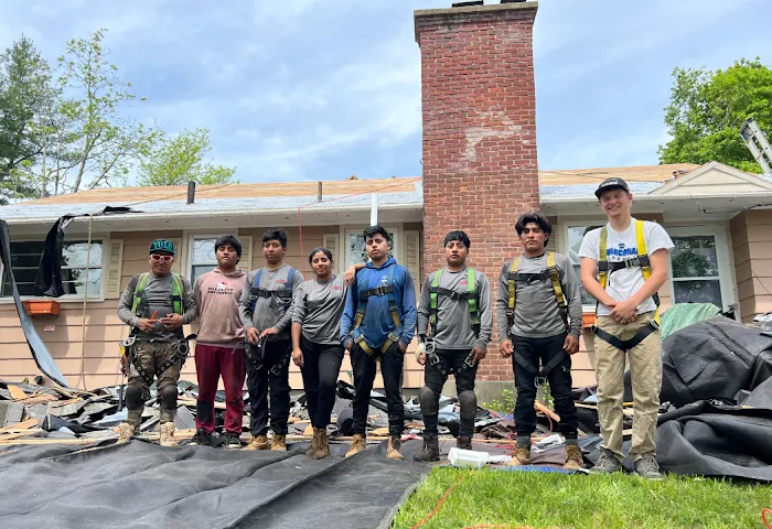 Klaus Roofing Systems by J Smegal Picture 8