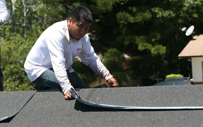 Galvan Roof Repair Solutions Picture 5