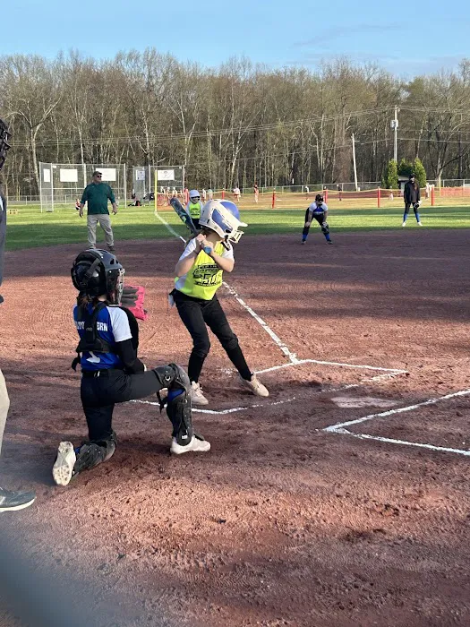 Charbonneau Roofing Picture 7