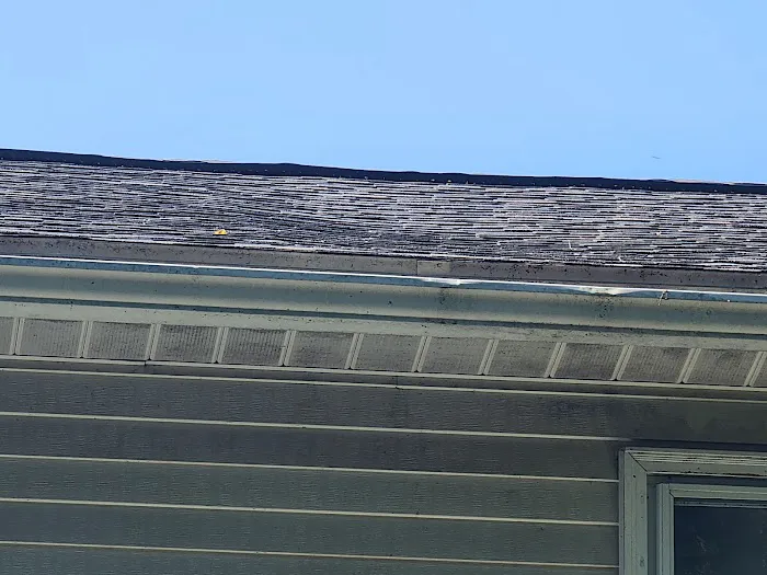 Witz Roofing Picture 1