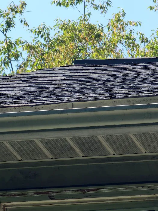 Witz Roofing Picture 3