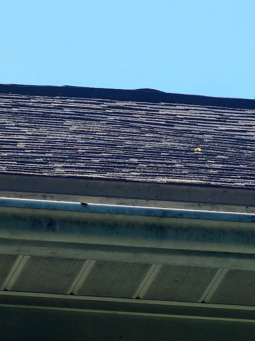 Witz Roofing Picture 4