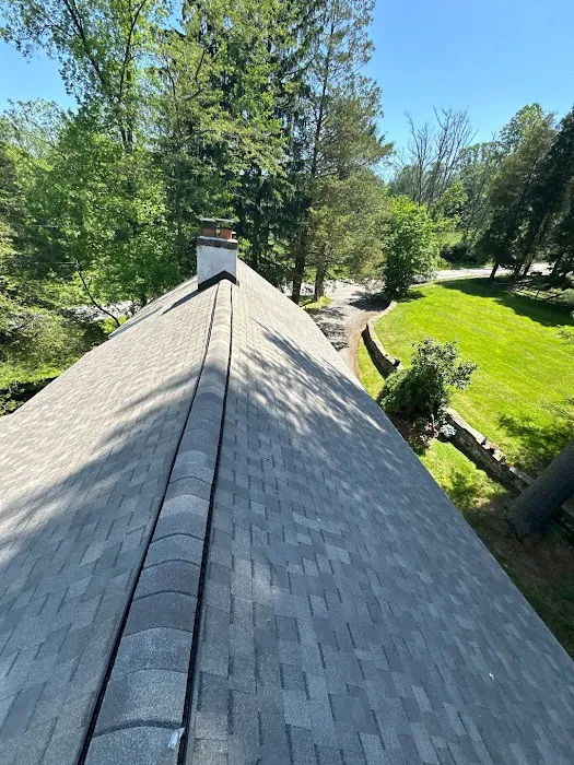 ALP Roofing Picture 2