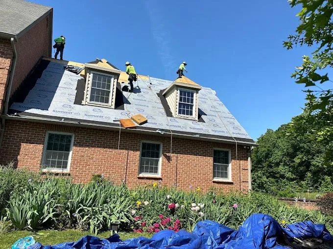 ALP Roofing Picture 6