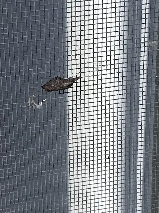 First Choice Exteriors LLC Picture 8