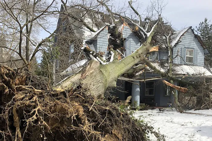 Seipp Roofing, LLC Picture 6