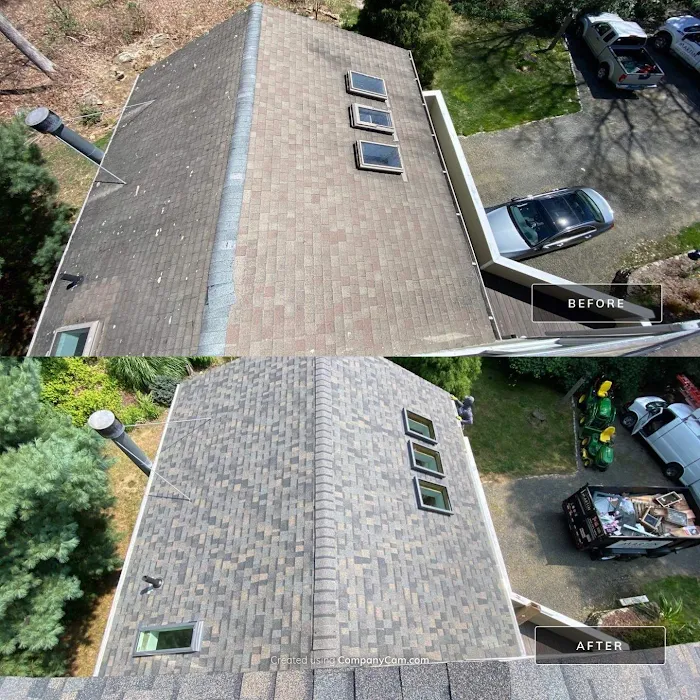 Martin Roofing Picture 3