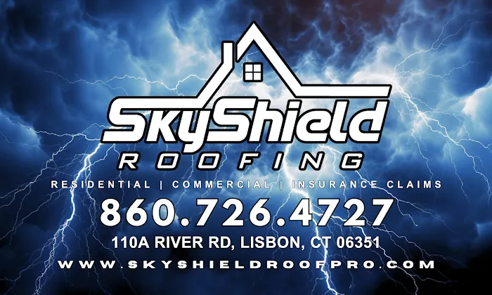 SkyShield Roofing Picture 8