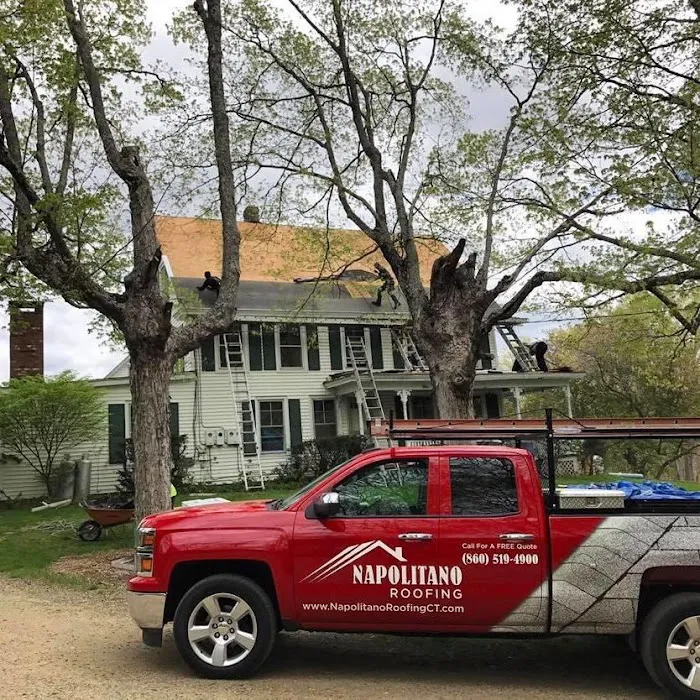 Napolitano Roofing Picture 5