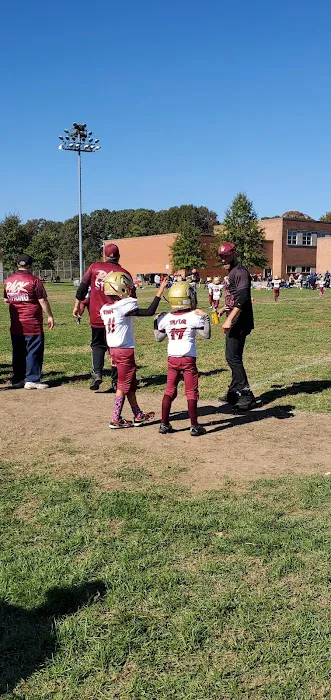 Hardy Roofing Picture 1