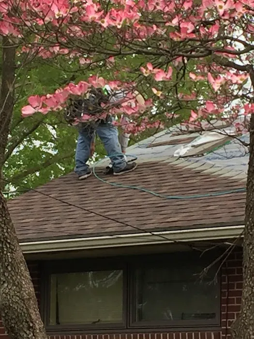 Rheam's Roofing & Remodeling Picture 10