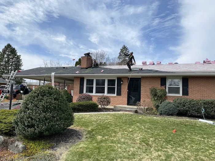 Mighty Dog Roofing of Waynesboro Picture 4