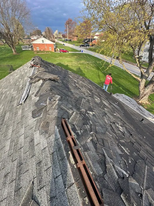 Seipp Roofing, LLC Picture 10