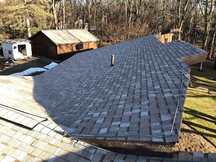 Red Dog's Roofing Picture 1