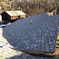 Red Dog's Roofing ico