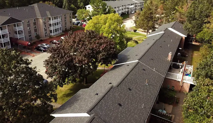 Red Dog's Roofing Picture 10