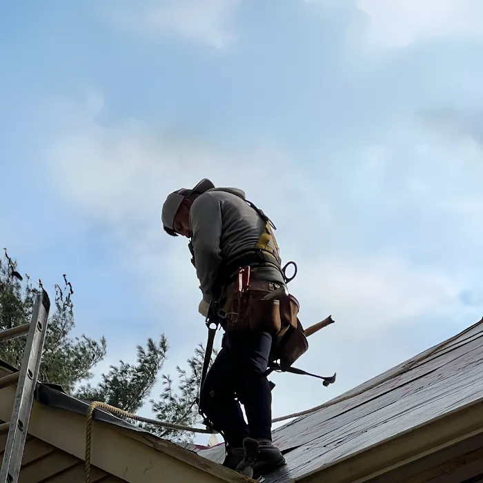 Red Dog's Roofing Picture 8