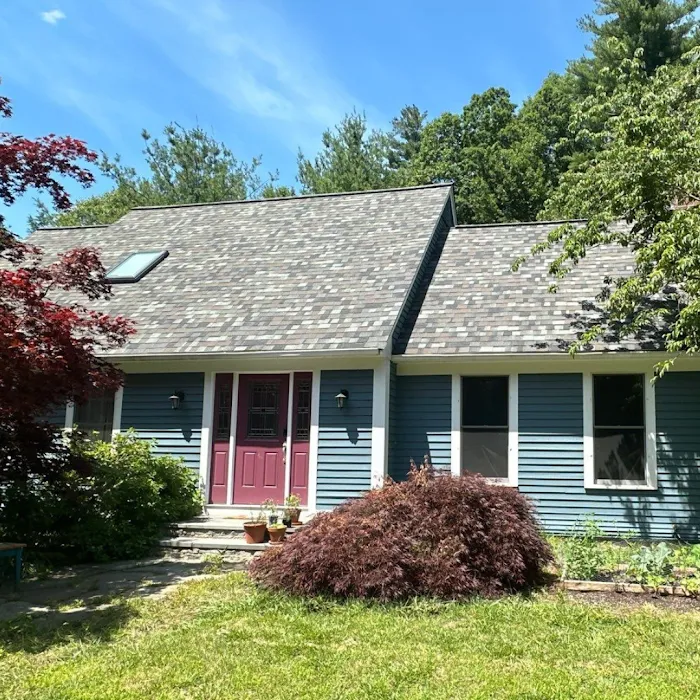 Red Dog's Roofing Picture 3