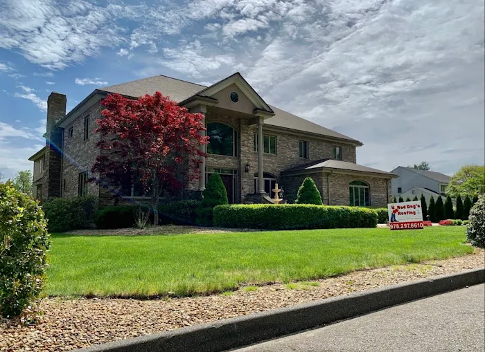 Red Dog's Roofing Picture 6