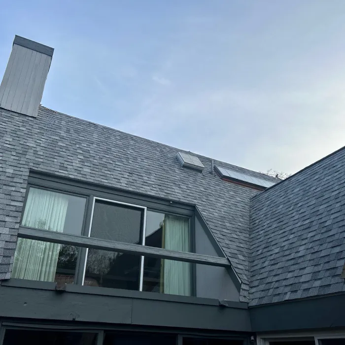 Red Dog's Roofing Picture 2