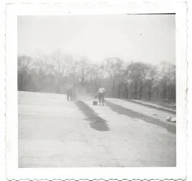 F A Taylor & Son Picture 1