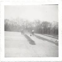 F A Taylor & Son ico