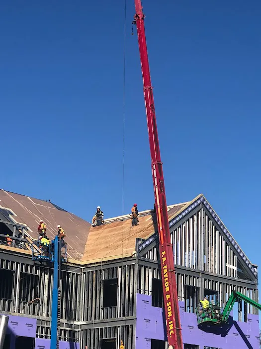 F A Taylor & Son Picture 5