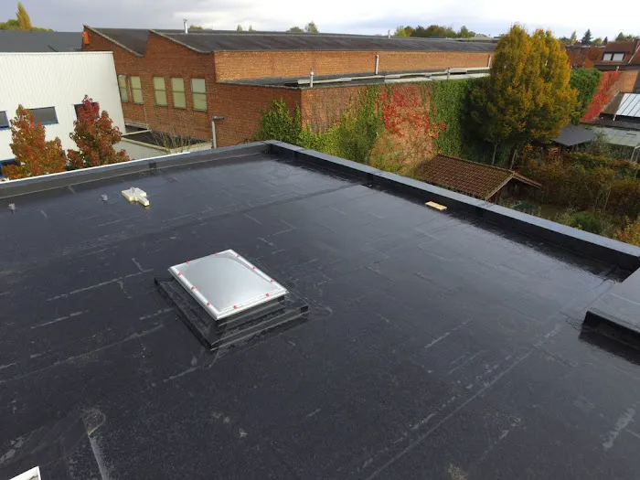 Commercial roofing Picture 5