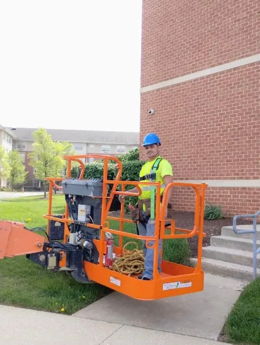 1st Amazon C.S.LLC/ Roofing & More Picture 4