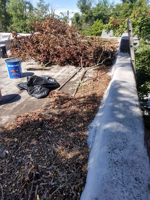 1st Amazon C.S.LLC/ Roofing & More Picture 10